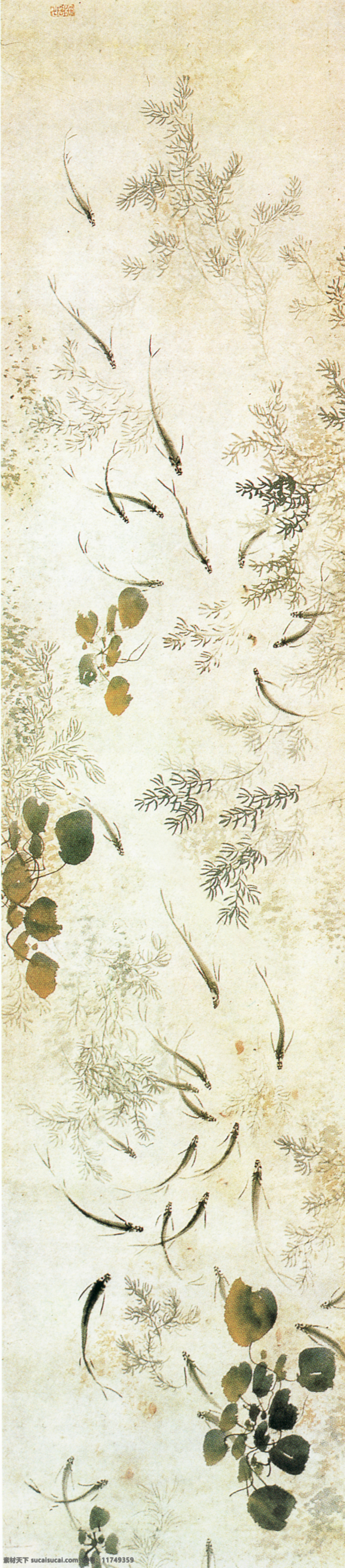 鱼藻图 绘画 国画 名画 池塘 水草 游鱼 艺术 文化艺术 绘画书法 设计图库