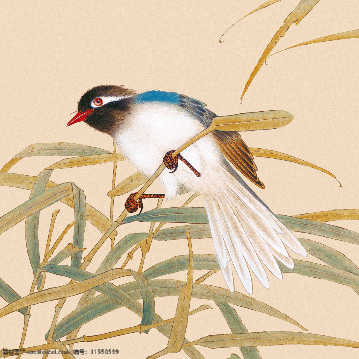 中式田园 工笔花鸟 芦苇 栩栩如生的鸟 中式画 高清 新中式 家居画 鸟 文化艺术 绘画书法