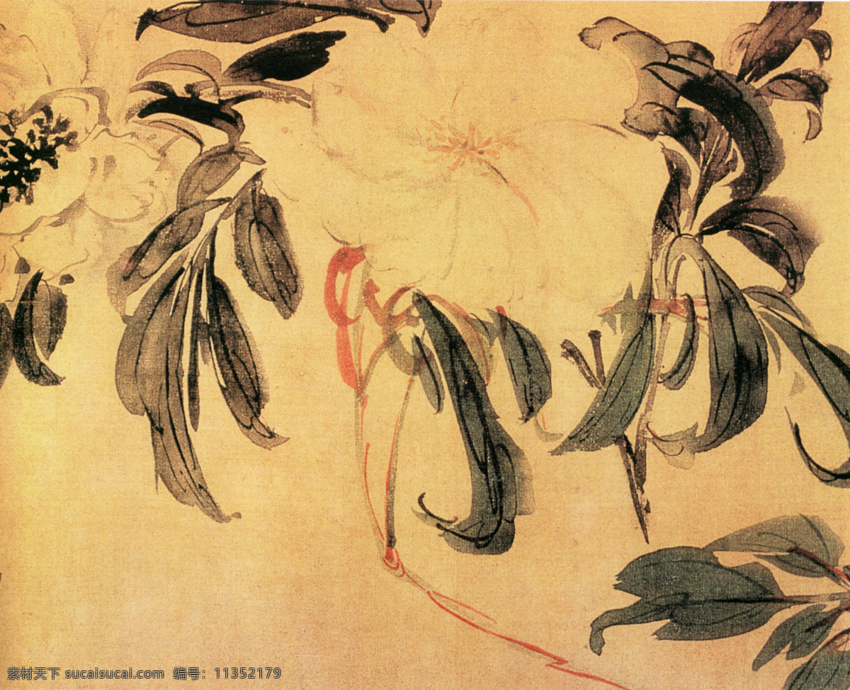 花卉图b 花鸟画 中国 古画 中国古画 设计素材 花鸟名画 古典藏画 书画美术 黄色