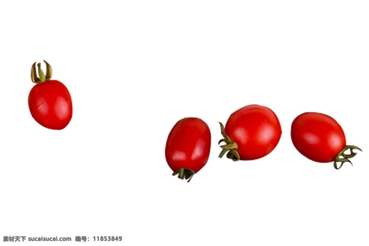 多个 新鲜 圣女 果 矢量图 维生素 小西红柿 圆形 完整 新鲜水果 小番茄 红色 绿梗 绿色叶子 营养 健康
