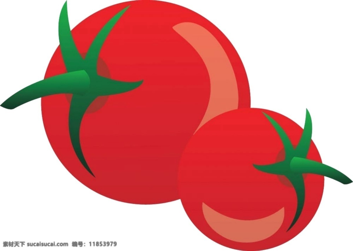 西红柿素材 免抠 psd素材 白色