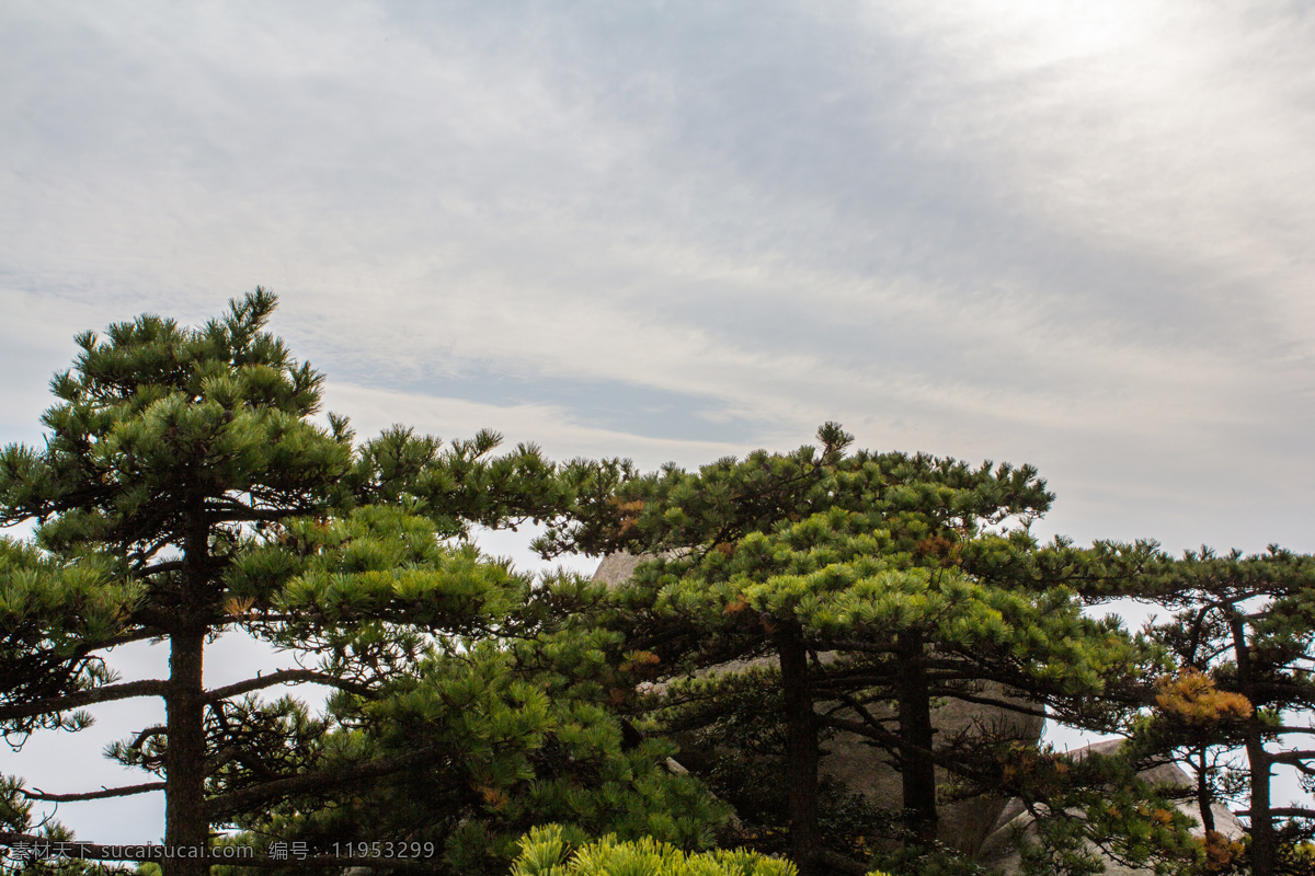 天柱山 世界 地质 公园 安徽 世界地质公园 蓝天白云 树 旅游摄影 国内旅游 灰色