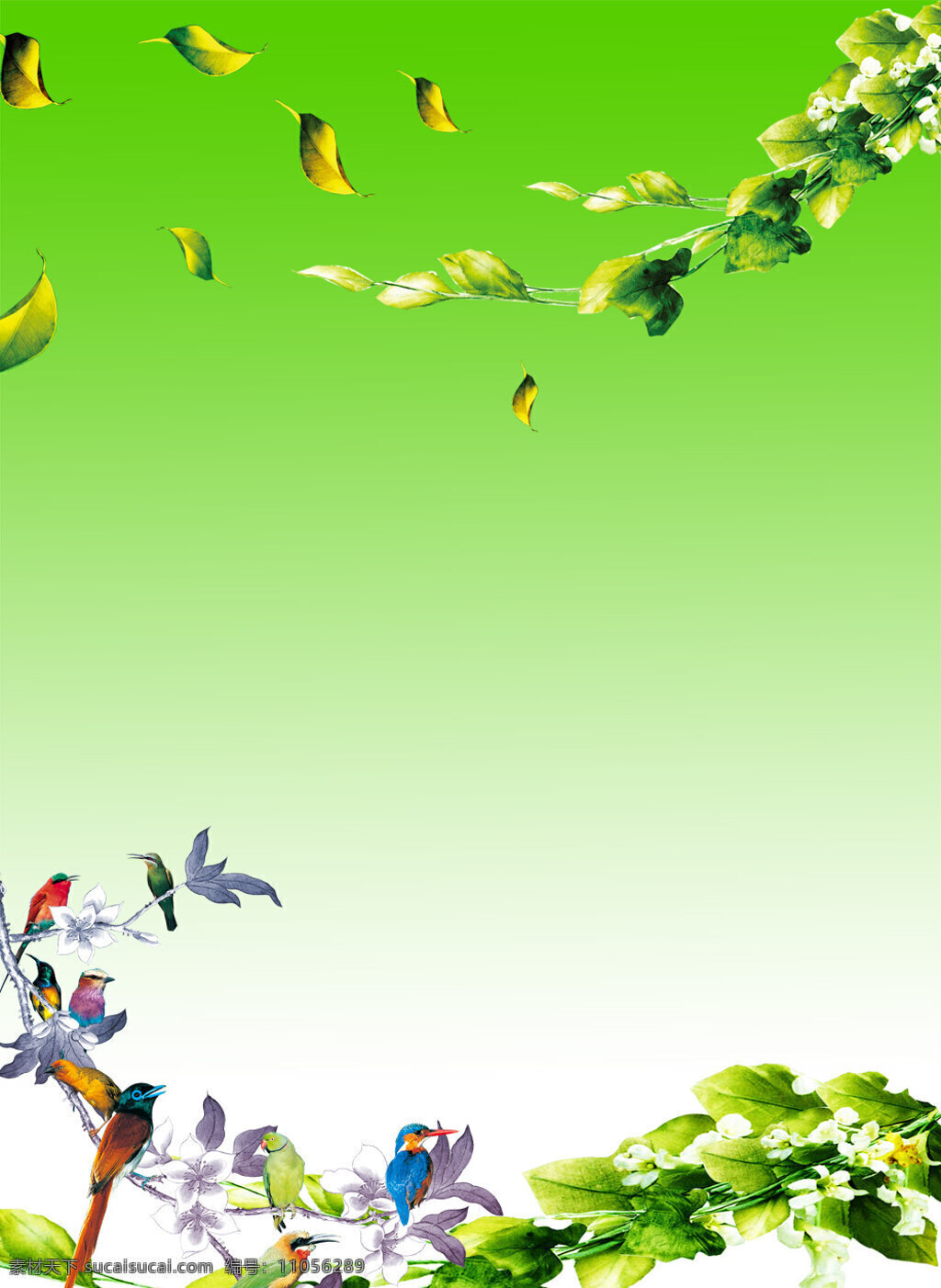 绿色底图 鸟 花 树叶 背景底纹 底纹边框