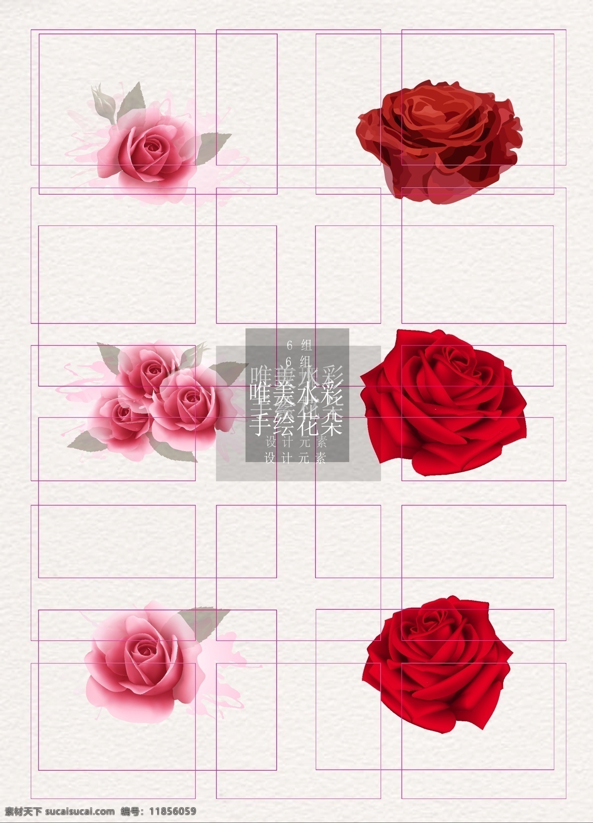 粉色 红色 玫瑰 矢量 元素 写实 手绘 花朵 水彩