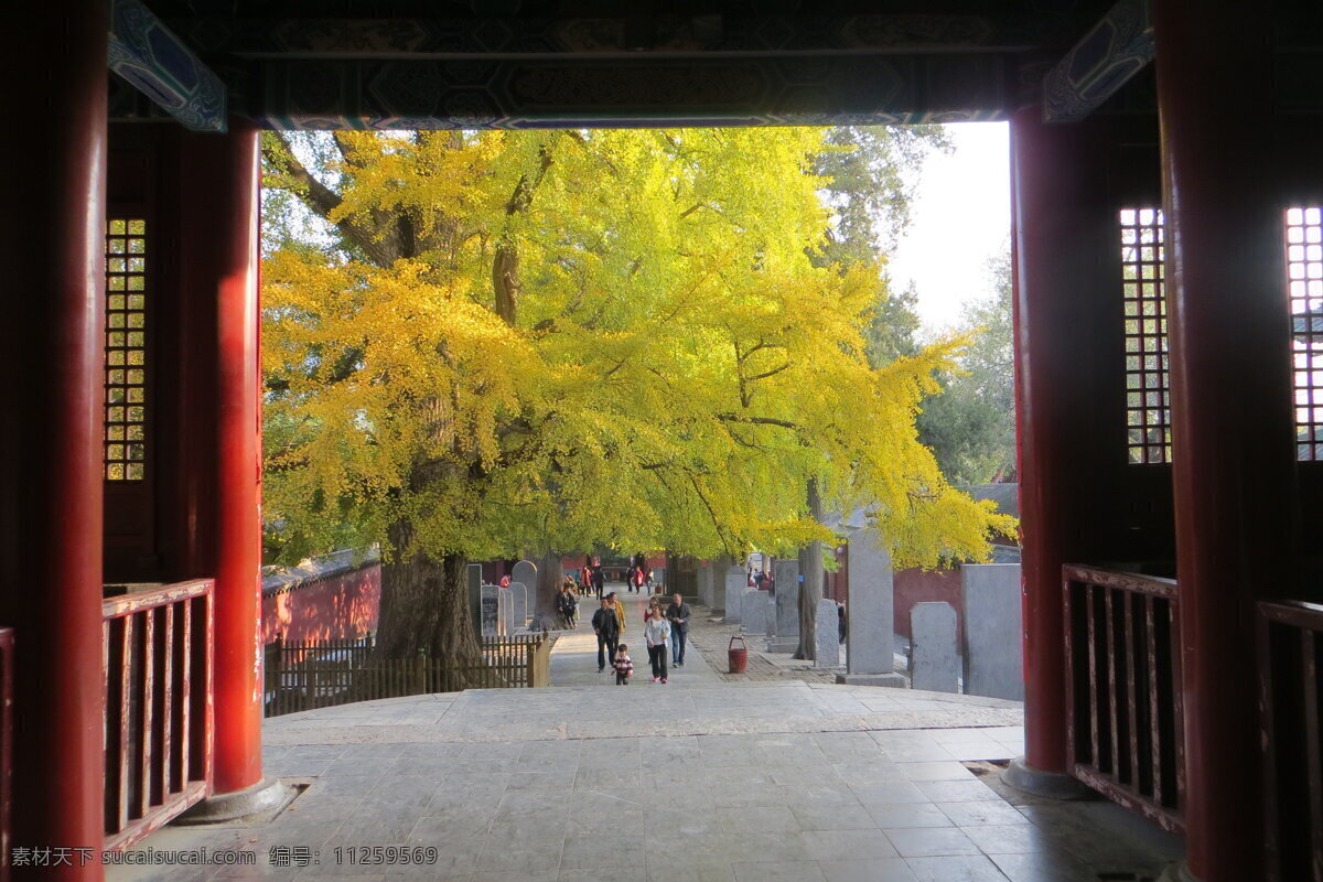 少林秋色 登封 嵩山 少林寺 天王殿 银杏 游人 石碑 少林寺风光 园林建筑 建筑园林 黑色