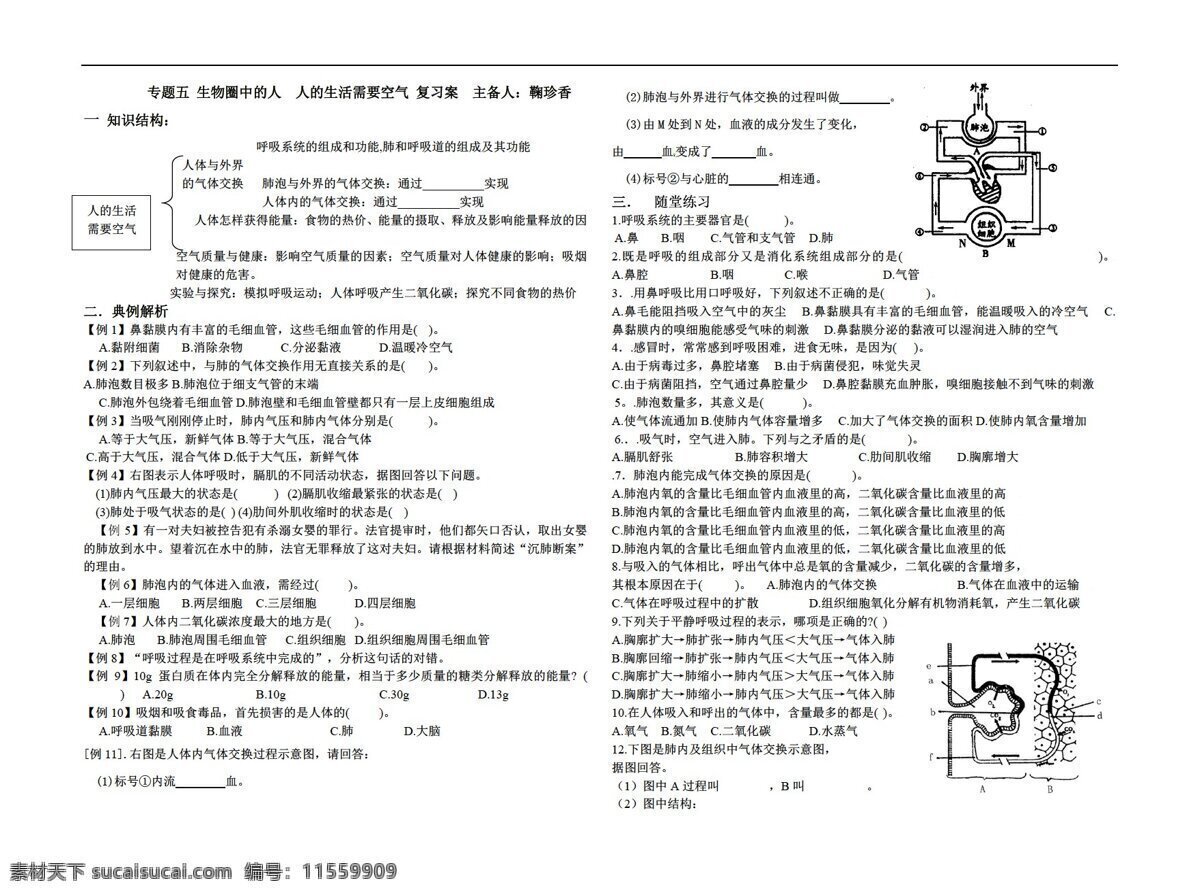 中考 专区 生物 人 生活 需要 空气 复习 案 鲁科版 中考专区 学案