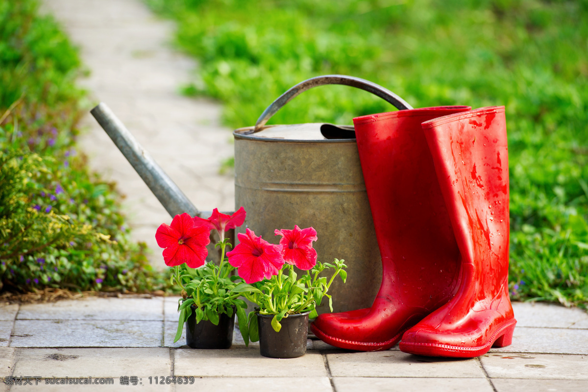 雨靴 喷壶 花盆 雨鞋 鲜花 花卉 园艺工具 其他类别 环境家居 绿色