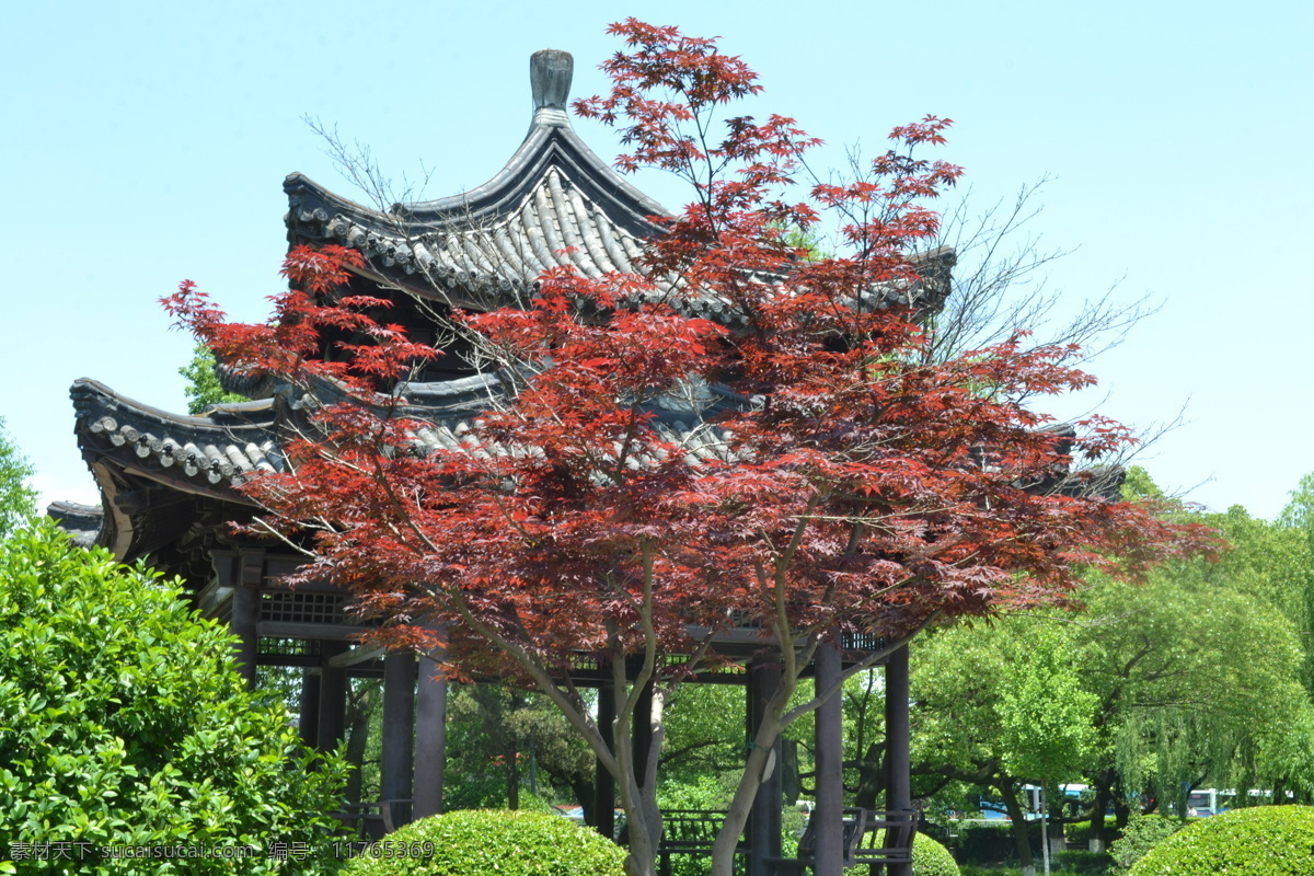 月湖月园 宁波 月湖公园 月园 古建筑园林 中式建筑 园林建筑 长廊 回廊 胡泊湖面 江南园林 中式园林 绿化景观 树木植物 亭台楼阁 假山 亭子 湖水倒影 公园小景 树木 绿化 休闲公园 宁波月湖风光 旅游摄影 国内旅游