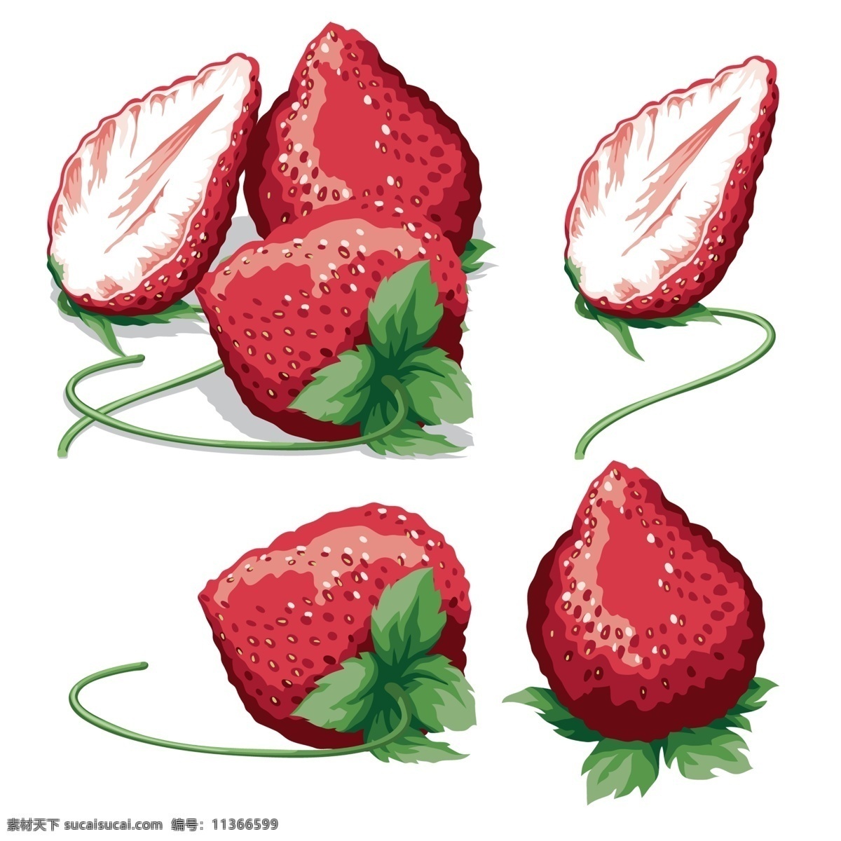 草莓 奶油草莓 树莓 水果 超市水果 特写 高清 绿叶 叶子 新鲜水果 红色 微距 花托 大棚水果 生物世界 手绘 背景分层 白色背景 蔬果 分层 源文件