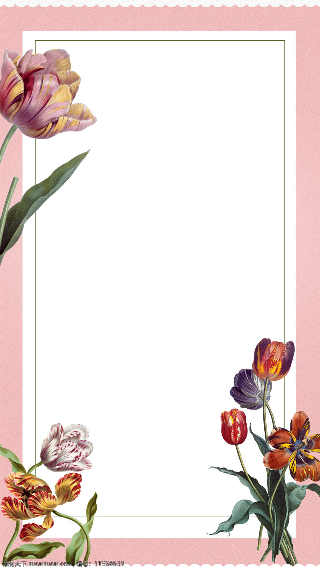 彩色 花朵 粉底 边框 h5 背景 简约 粉底边框 彩色花朵 海报 h5背景