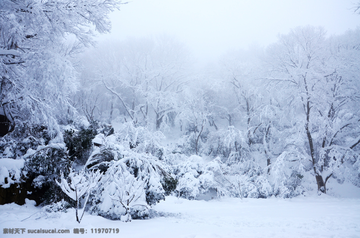 雪景 雪 雪树 树 冰雪 冰雪世界 雪山 大雪 白雪 白雪皑皑 自然景观 山水风景