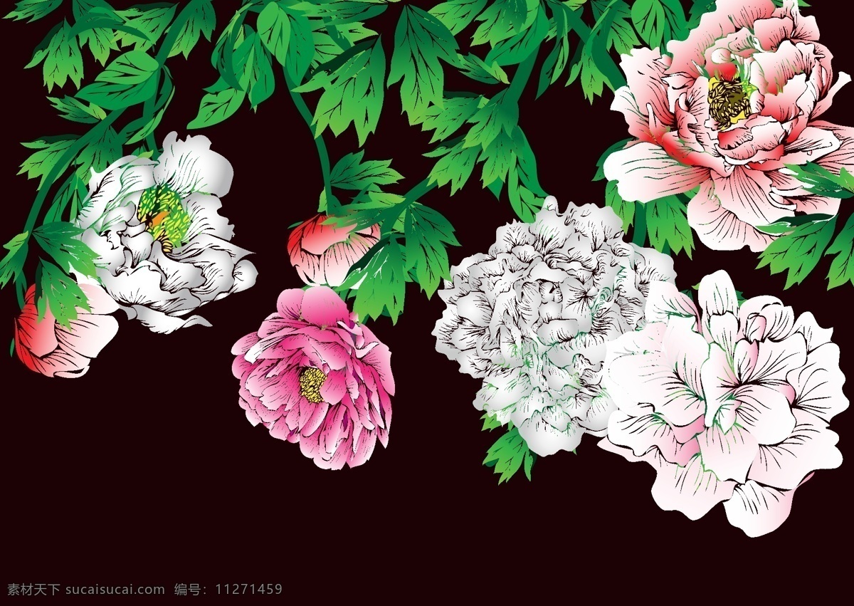 艺术 白描 牡丹 插画 工笔画 花朵 绘画 美术 植物