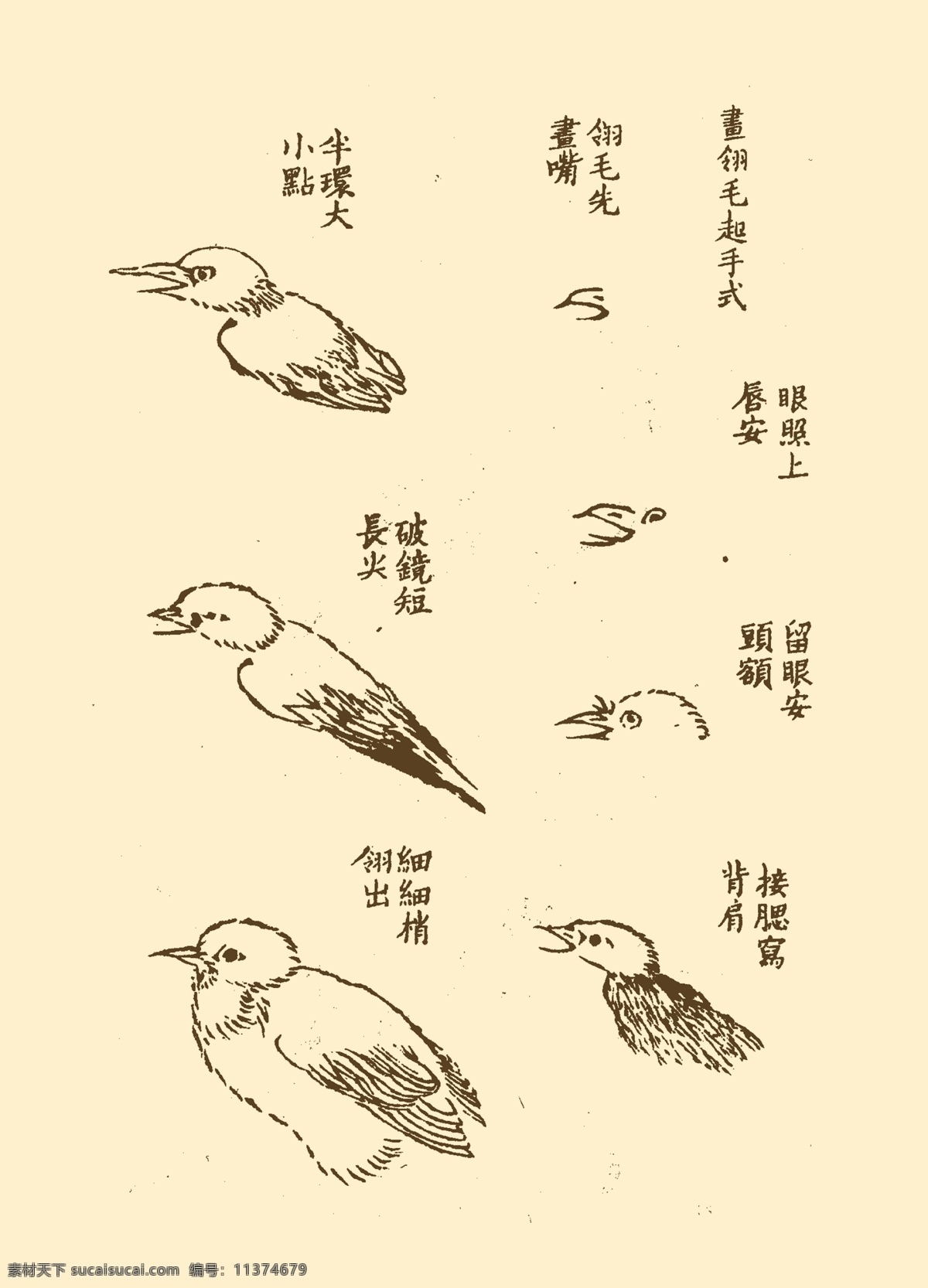 芥子园画谱 翎毛 山水 国画 中国画 水墨画 写意画 禽类 鸟类 鸟 分层 源文件