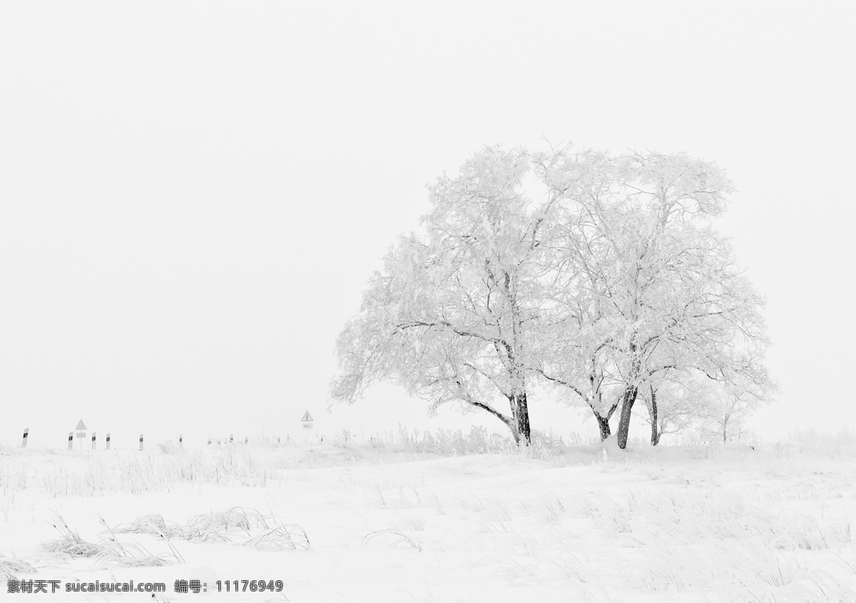 自然景观 雪地 雪 冬天 树挂 雪景