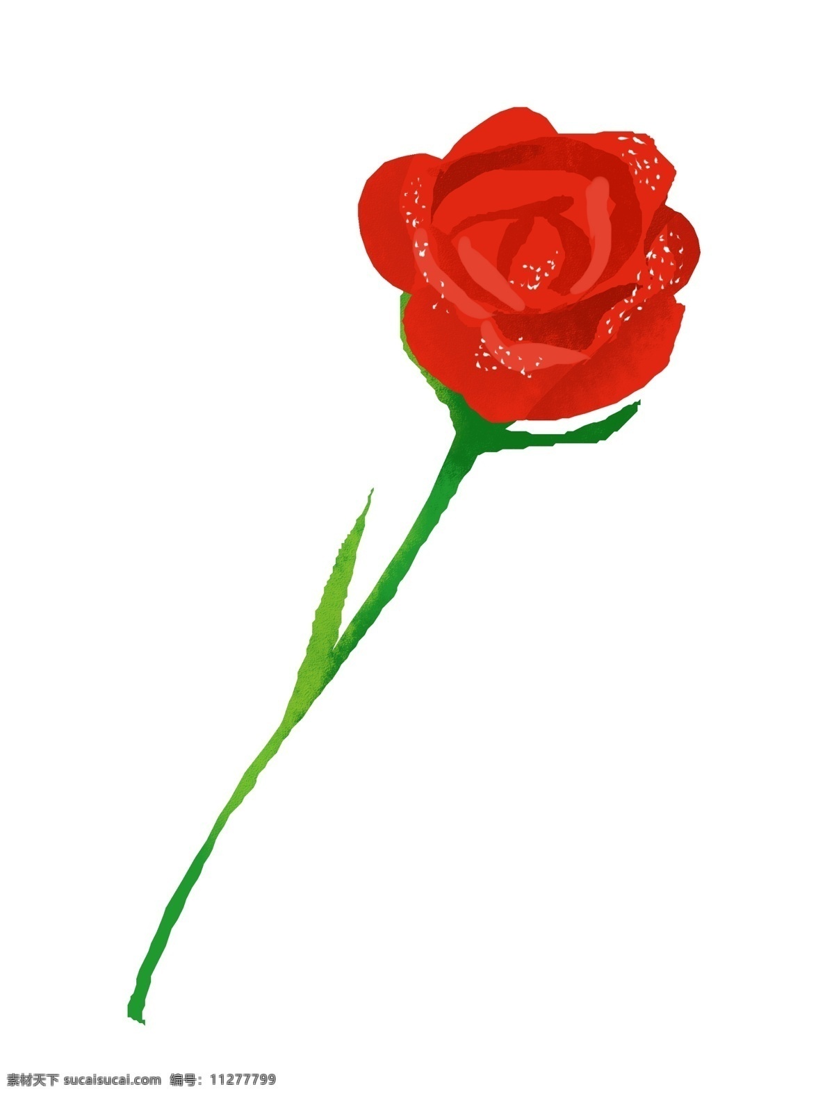 浪漫 红色 玫瑰花 红玫瑰 花枝 鲜花