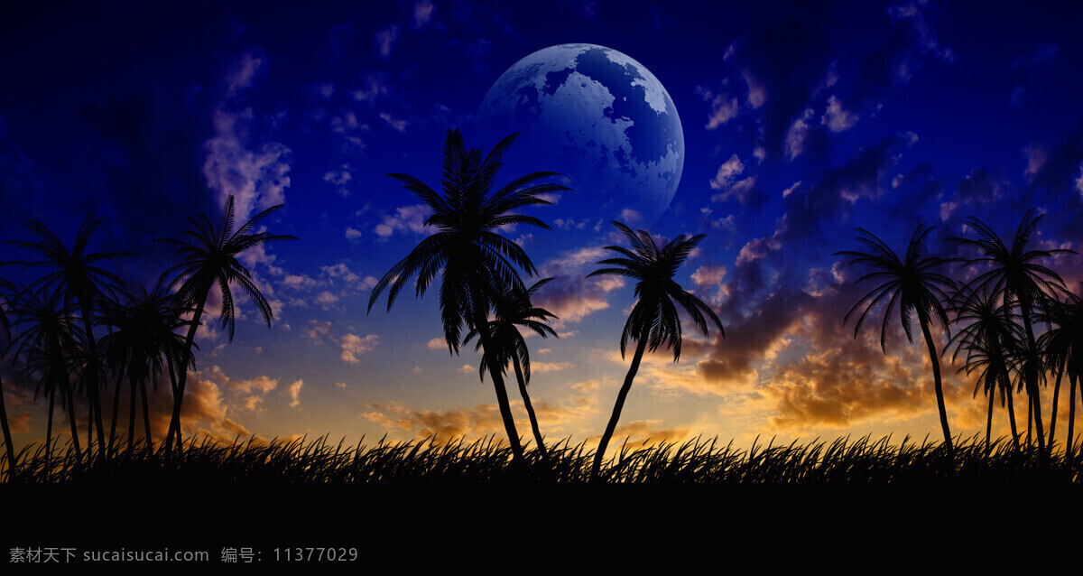 月球 椰子树 月球和椰子树 乌云 球体 宇宙 星空 星球 太空 光芒 宇宙太空 环境家居