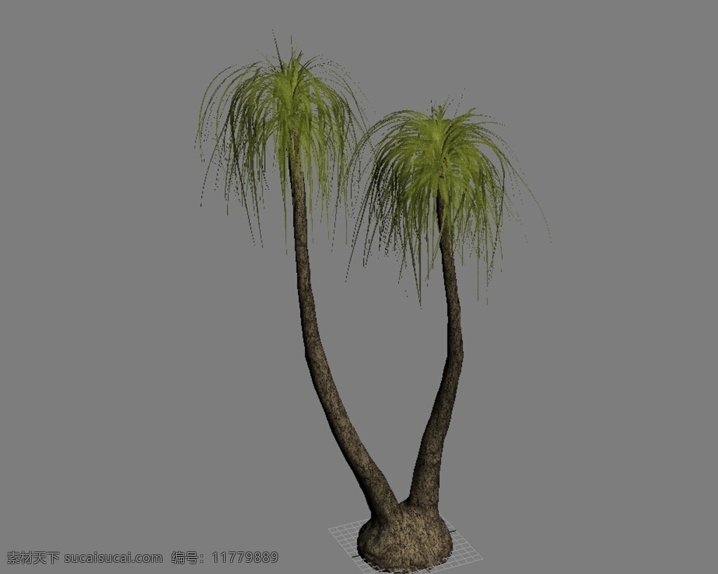 热带 树 3d 模型 热带树模型 3d模型 椰子树 室外植物 植物3d max模型 树木3d模型 3d设计 室外模型 max