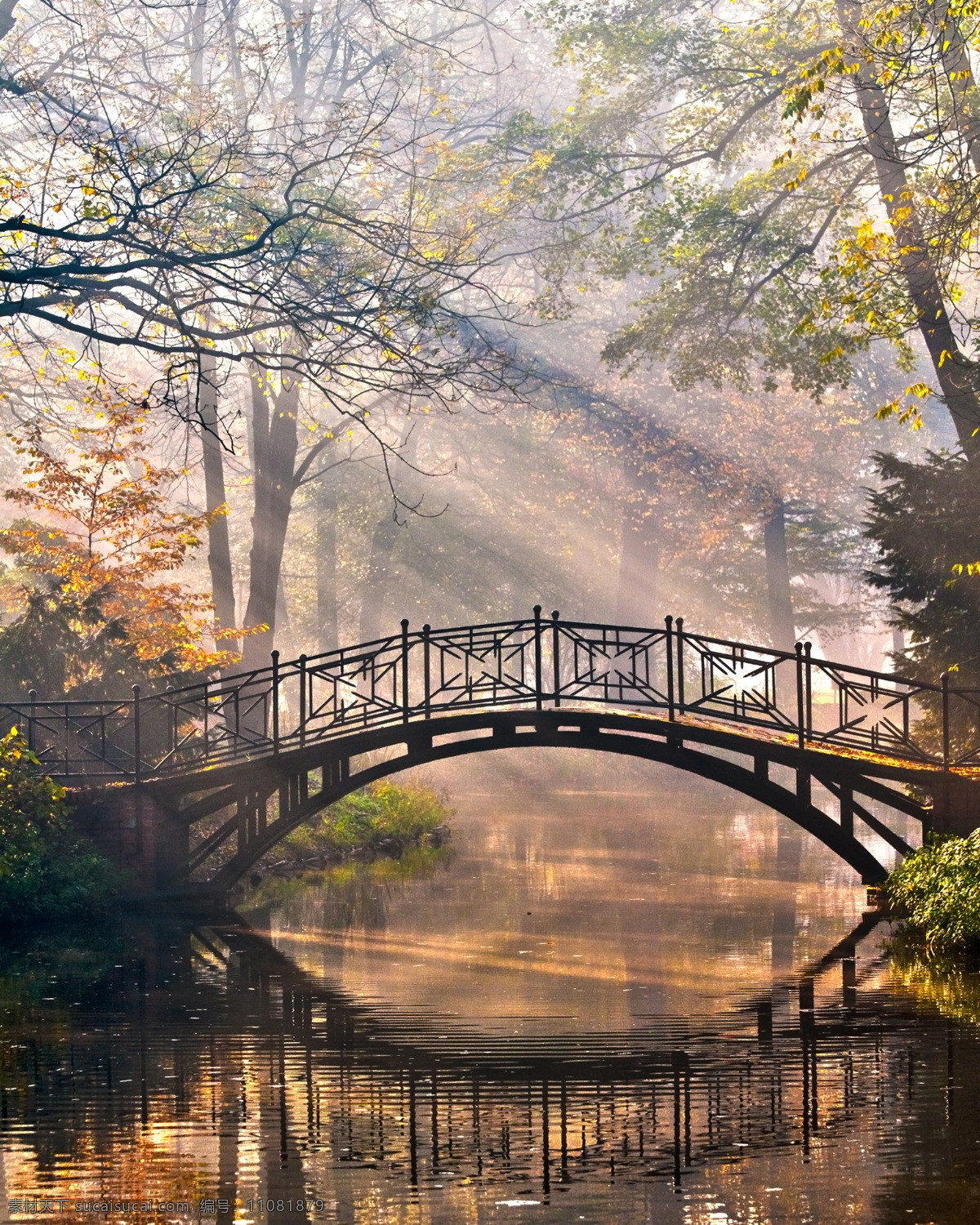 小桥流水 秋天 落叶 小路 金花色的树叶 自然 流水 景色 小桥 山水风景 风景图片