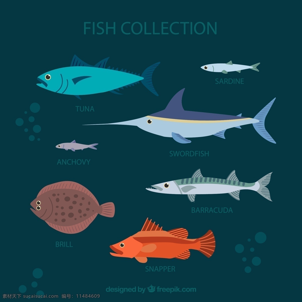 彩色 海洋鱼类 大海 金枪鱼 沙丁鱼 鳀鱼 旗鱼 源文件 矢量 高清图片
