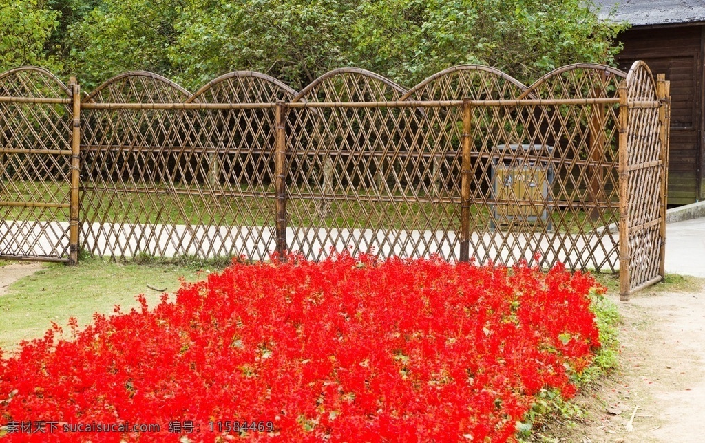 花园 花圃 一串红 竹篱笆 篱笆 公园 生态 红色花圃 公园花圃 植物 田园 自然景观 田园风光