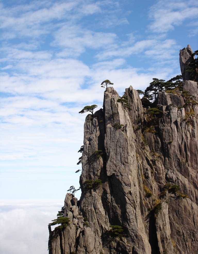 黄山岩松 山峦 松树 蓝天 白云 风景名胜 自然景观