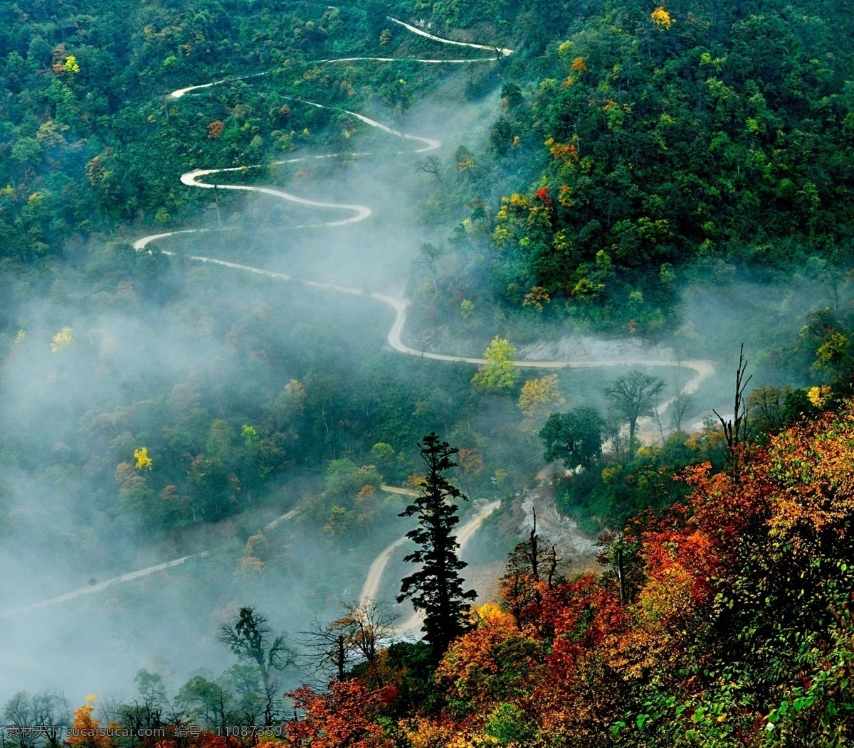 瓦屋山 洪雅 森林 山路 蜿蜒 公路 国内旅游 旅游摄影