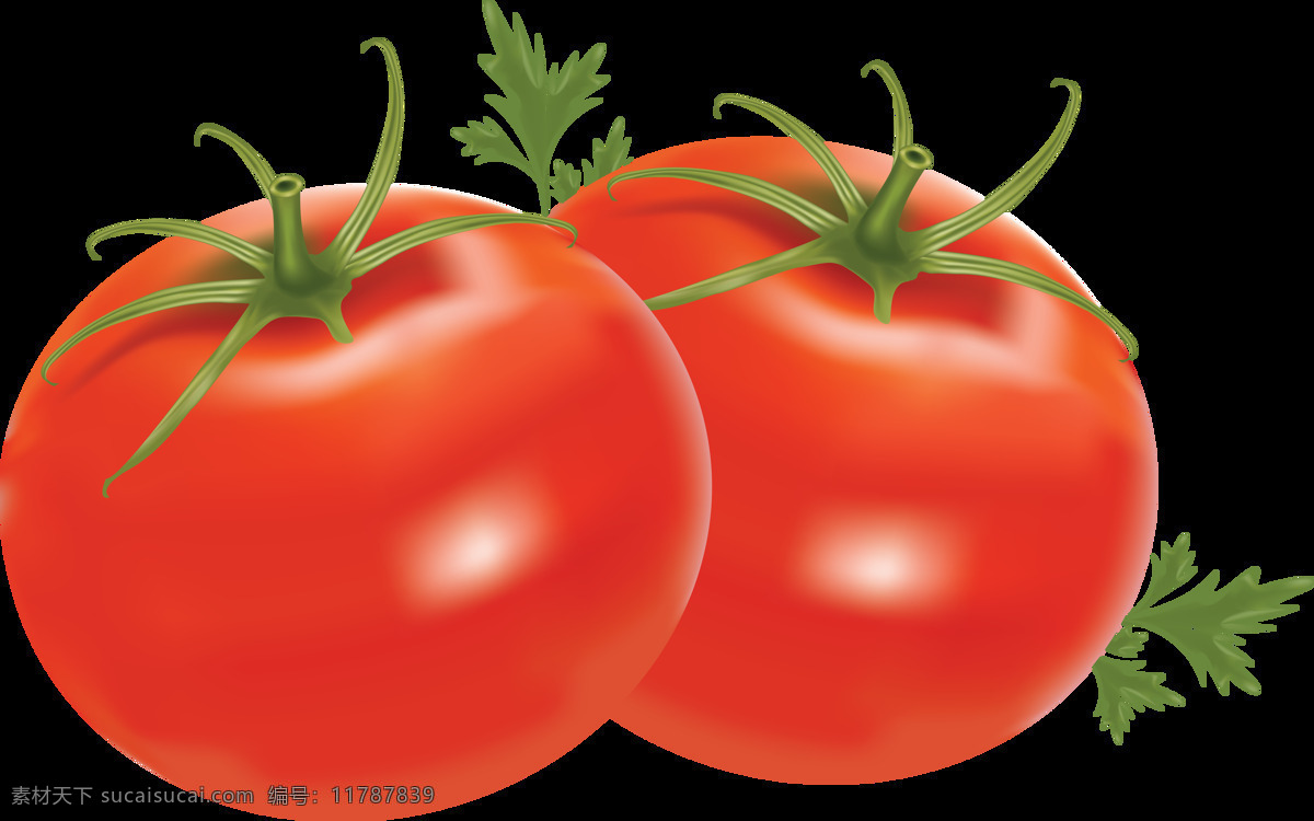 番茄 西红柿 圣女果 红番茄 菜 新鲜 超市 健康 食品 沙拉 健康食品 水果 食物 营养 生物世界 蔬菜 背景 元素