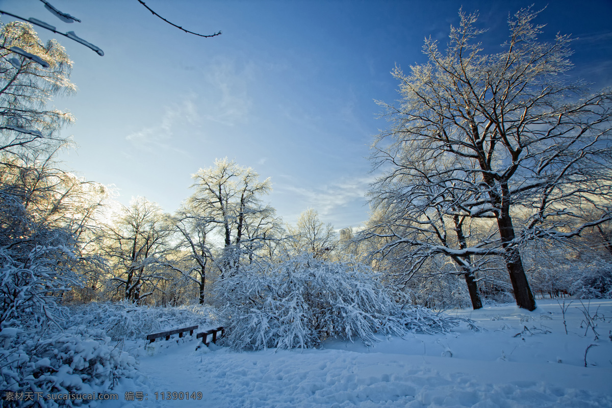 冬季雪景 冬季 冬天 雪景 美丽风景 景色 美景 积雪 雪地 森林 树木 自然风景 自然景观 蓝色