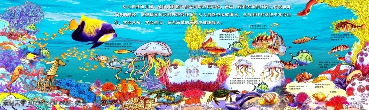 广告设计模板 国内广告设计 海草 海带 海马 海水 海星 珊瑚 幼儿园 海洋生物 教育 模板下载 中文字 乌贼 水母 鳗鱼 小丑鱼 花斑鱼 源文件 psd源文件