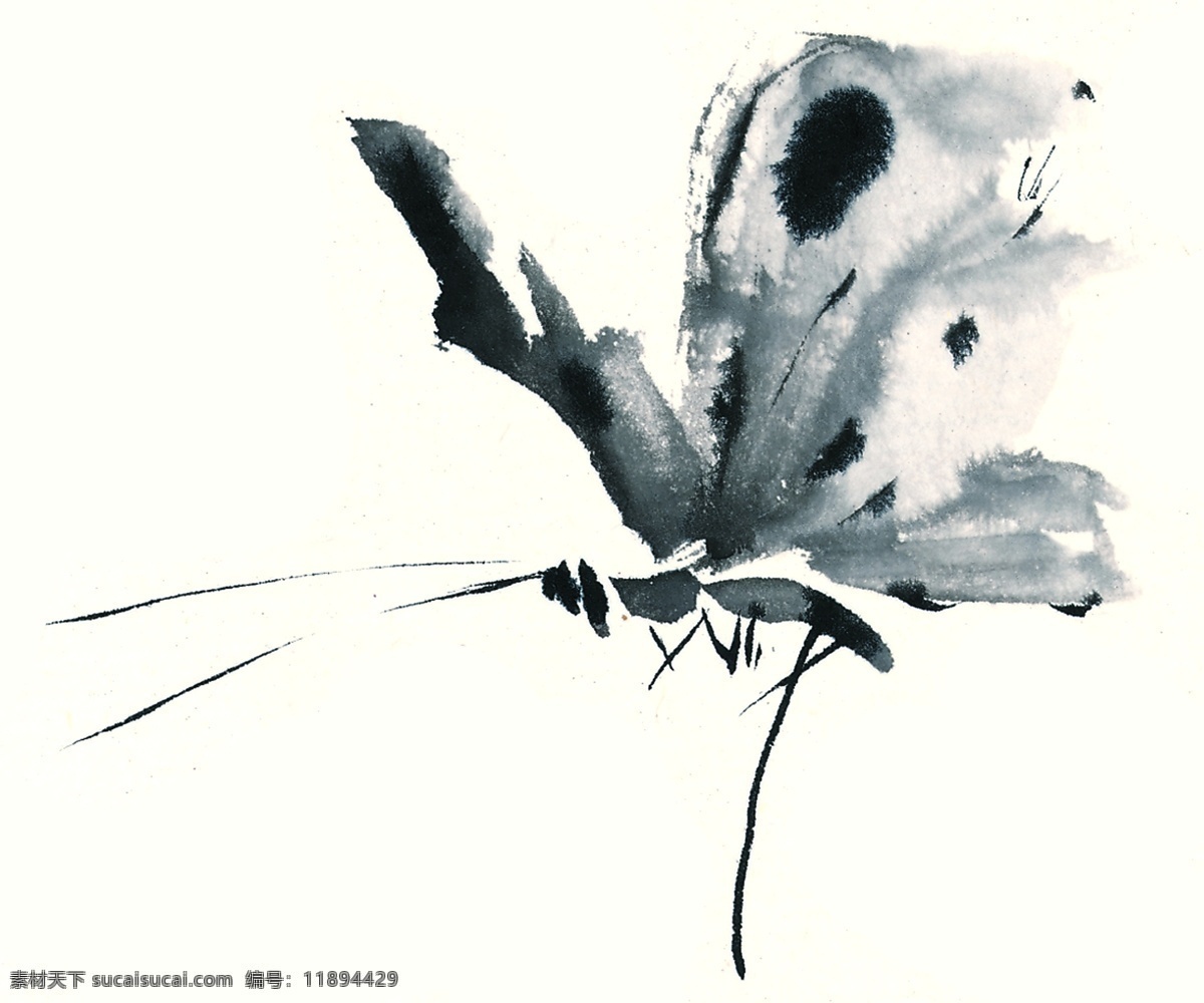水墨 风格 蝴蝶 文化艺术 美术绘画 昆虫 设计图库
