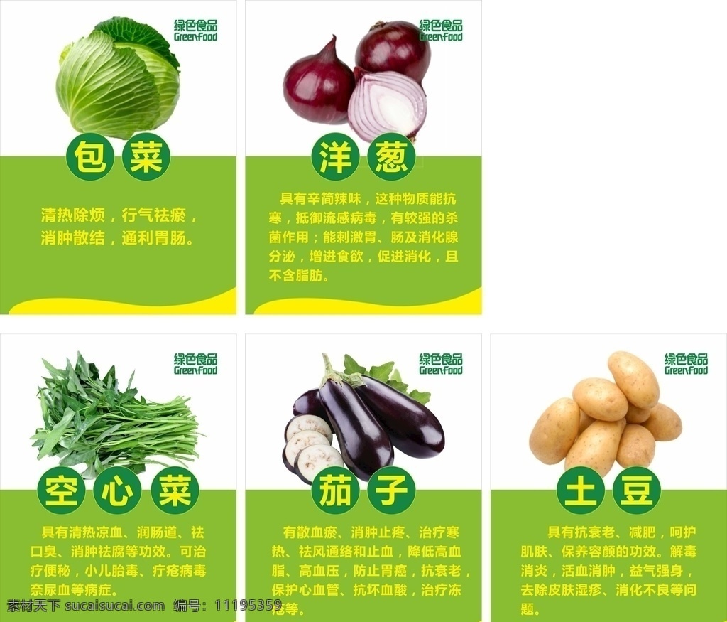 蔬菜介绍 绿色食品 包菜 洋葱 空心菜 茄子 土豆 可编辑 未转曲