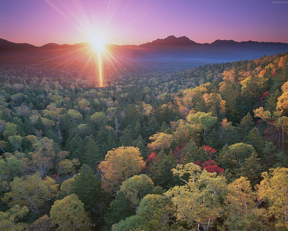 日出 风景 剪影 公共场所 公园 户外 陆地 山 树林 太阳 天气 雾 自然 早晨 秋叶 设施 影子 秋天 天空照片 竖图 远景 逆光 彩色 照片 俯拍 橙色 黄色 绿色 鲜明 山水风景 自然景观