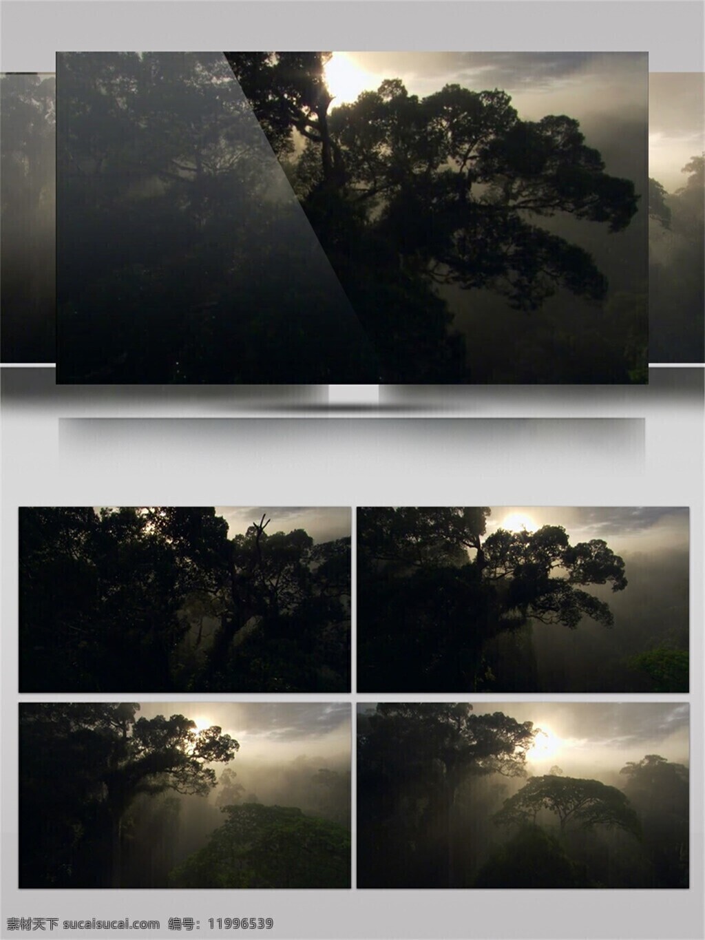 森林 环绕 村庄 日出 风景 视频 音效 视频素材 植物 阳光 唯美 天然 视频音效 雾气