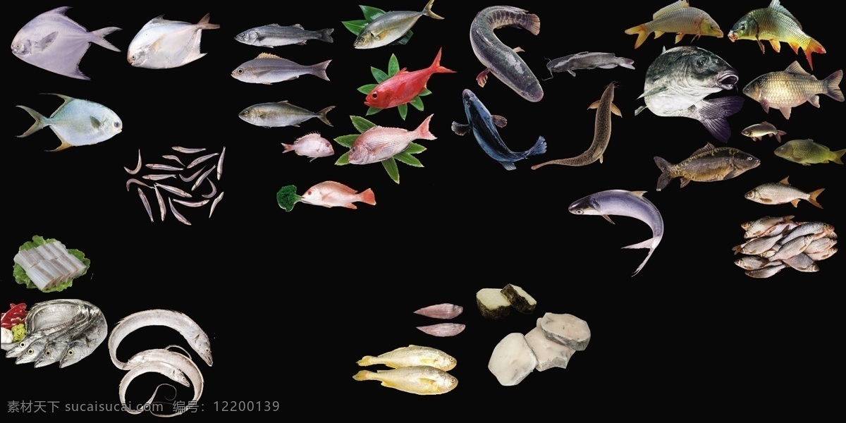 海鲜鱼类 海鲜 鱼类 鲳鱼 带鱼 鲤鱼 鲫鱼 黑色