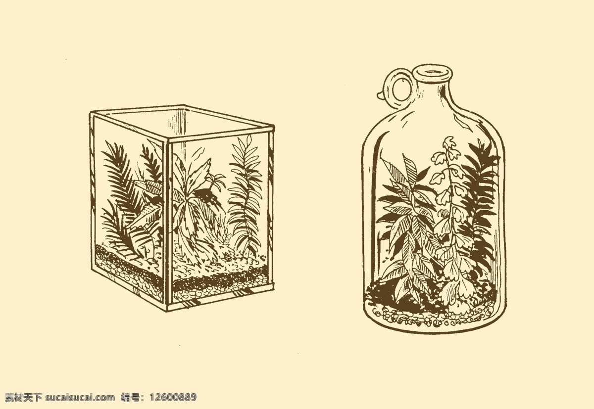 植物装饰画 图案 插画 插图 版画 简笔画 风光 装饰画 黑板报 植物 钢笔画 玻璃瓶 分层 源文件