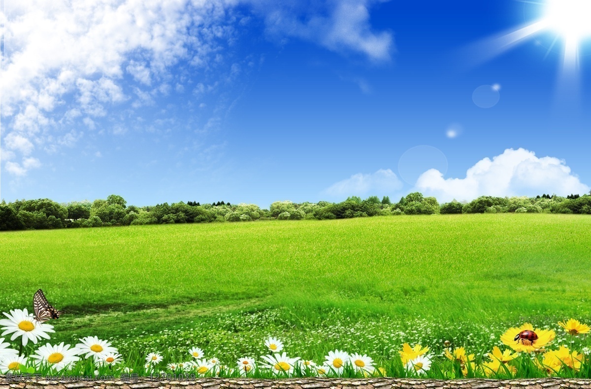 蓝天草地 绿色草地 蓝天白云 风景 草地风景 景色 景观 户外 自然 蓝天 白云 绿色 草 草地 绿草地 花 白鸽 树叶 种植园 农场 牧场 田园 园林 背景 展板 模版 宣传栏 海报 环保 清新 春天 空旷 阳光 广告 分层 源文件