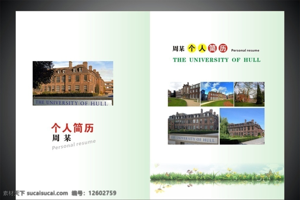 个人简历 国外大学 绿色 清新 封面 展板模板