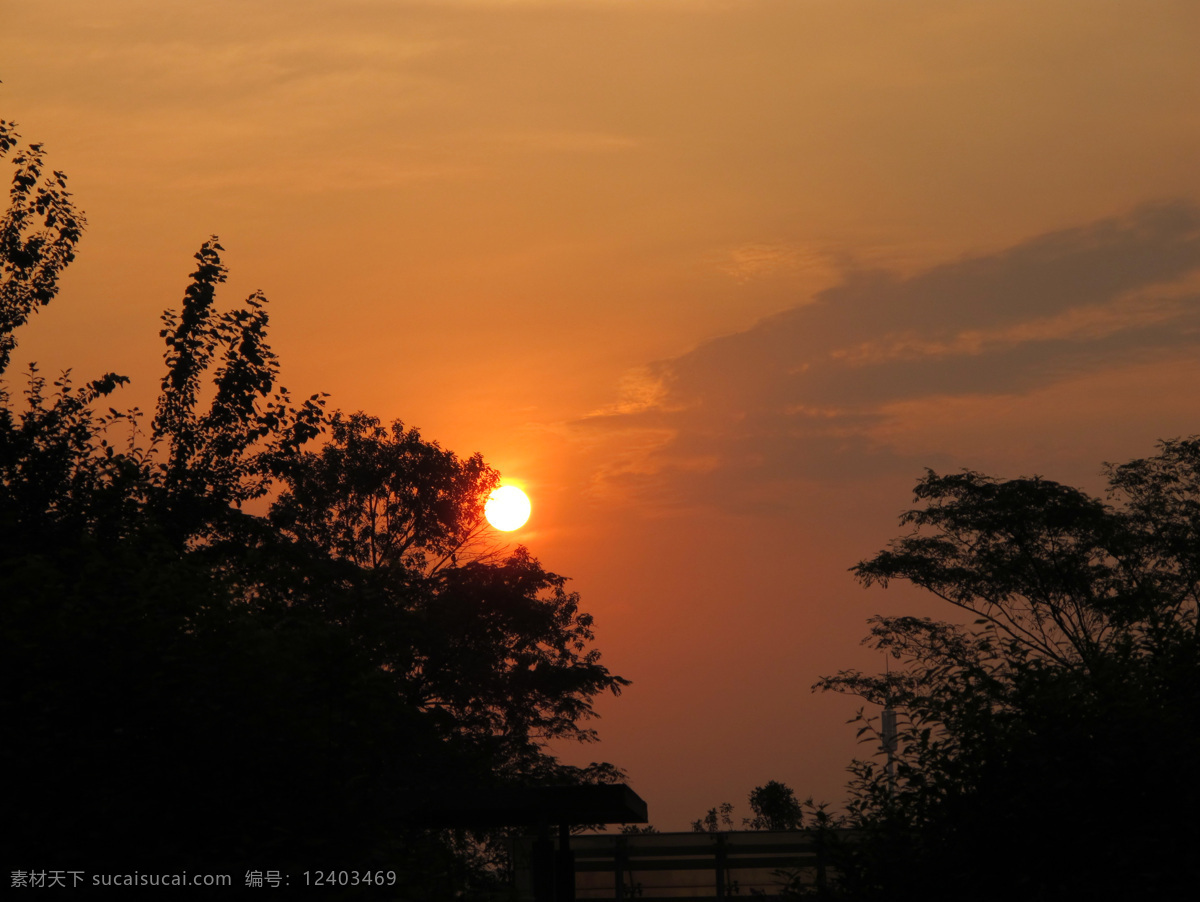 美丽 朝阳 傍晚 剪影 清晨 树影 夕阳 自然风景 美丽朝阳 自然景观 psd源文件