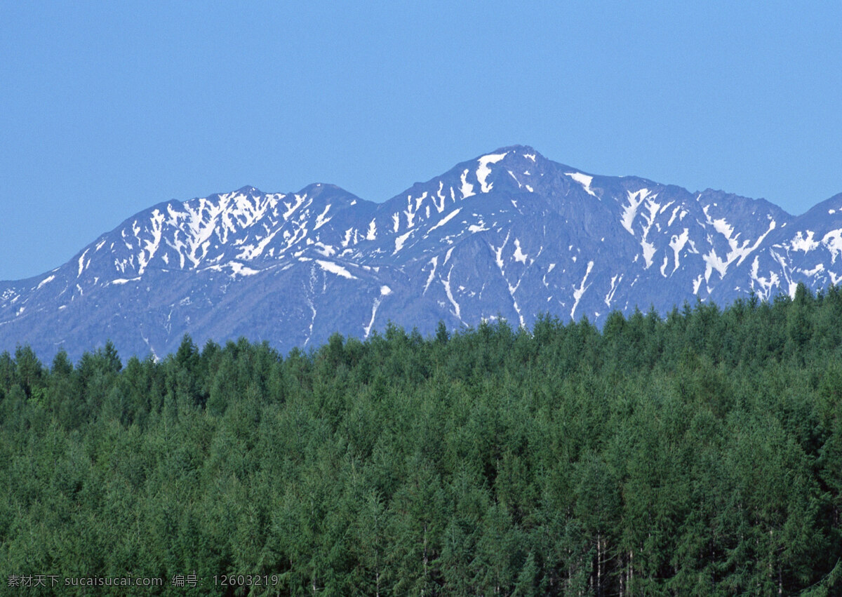 高原 雪山 美丽风景 自然风景 风景摄影 大自然 美景 景色 山水风景 树林 山峰 风景图片