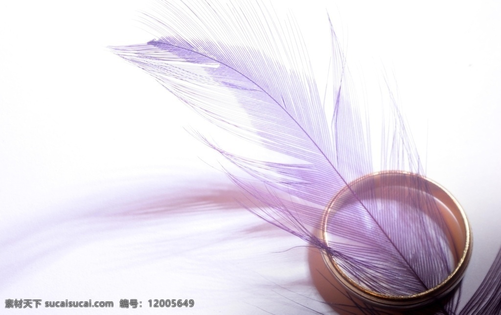 羽毛戒指 紫色羽毛 金色戒指 戒指 金色 羽毛 浪漫 生活百科 生活素材