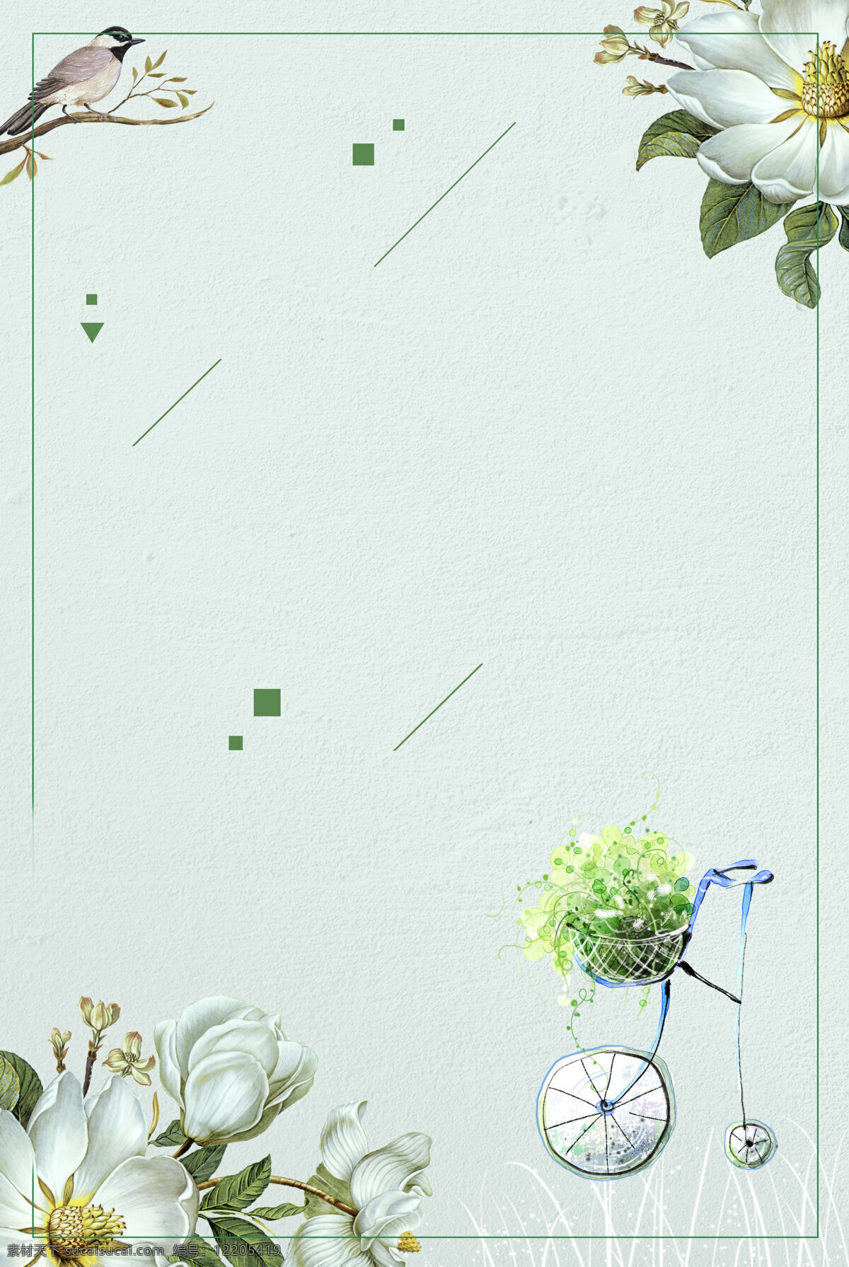小 清新 单车 花鸟 图 背景 小清新 边框 春天 广告背景 绿色线条 花篮 白色花朵