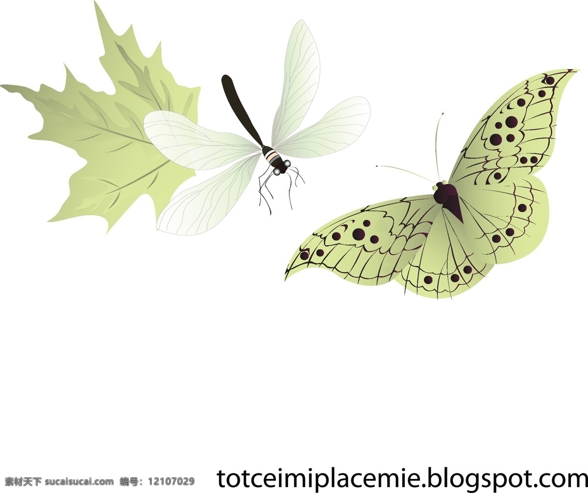 精巧 蝴蝶 叶 蜻蜓 矢量 web 插画 创意 绿 免费 图形 病 媒 生物 时尚 独特的 原始的 高质量 质量 新鲜的 设计新的 自然 微妙的 载体 矢量图