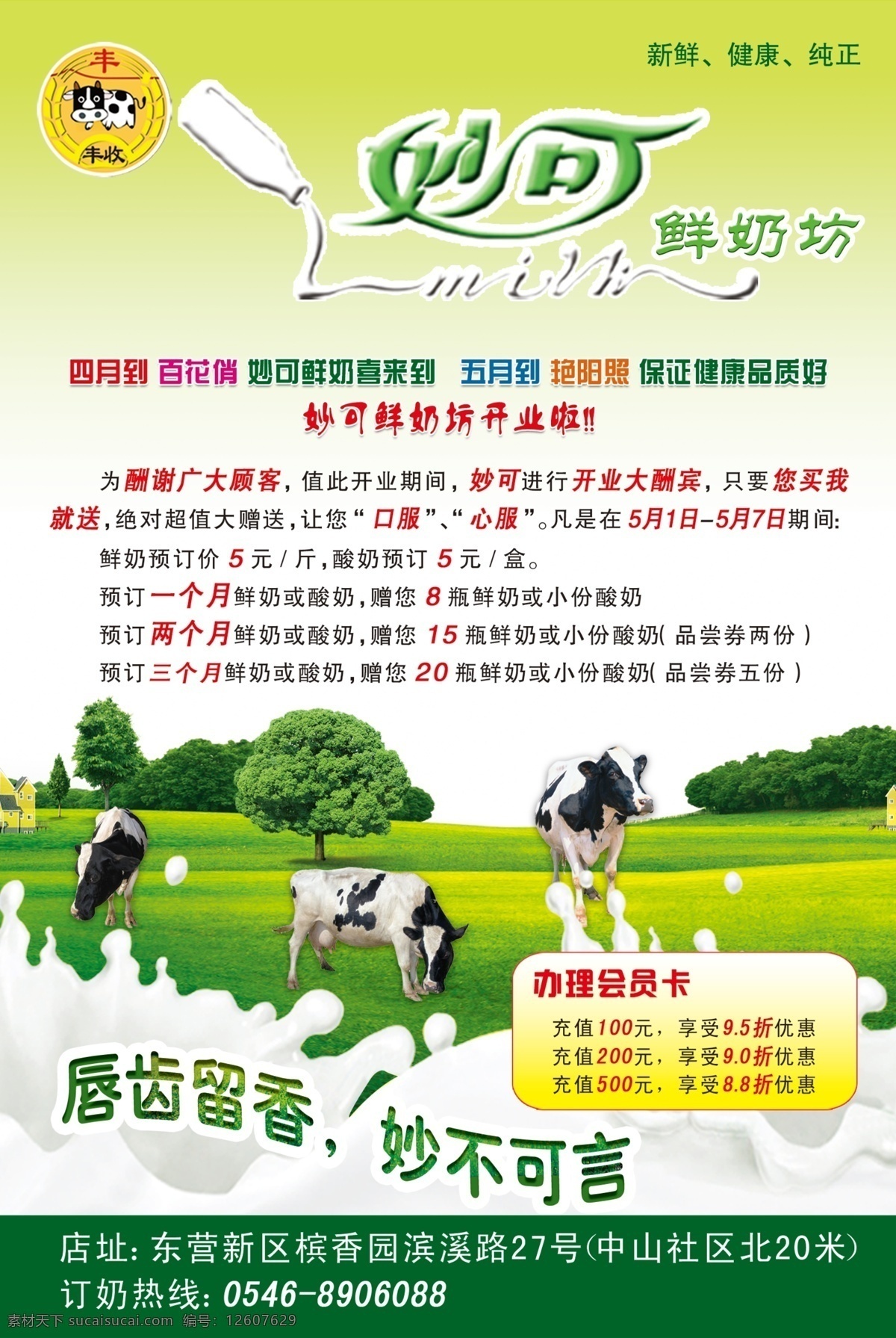 牛奶宣传单 妙可 妙可标志 奶牛 草地 牛奶图 草原 绿地 树 dm宣传单 广告设计模板 源文件