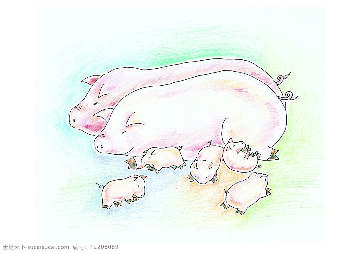 小猪一家亲 彩铅画 欢乐 家庭 和睦 手绘 小猪 卡通 动漫动画 动漫人物