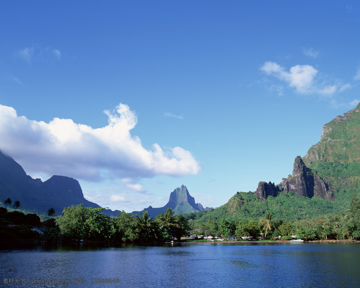 树免费下载 风景 山 山水风景 摄影图 树 植物 自然景观 水 家居装饰素材 山水风景画