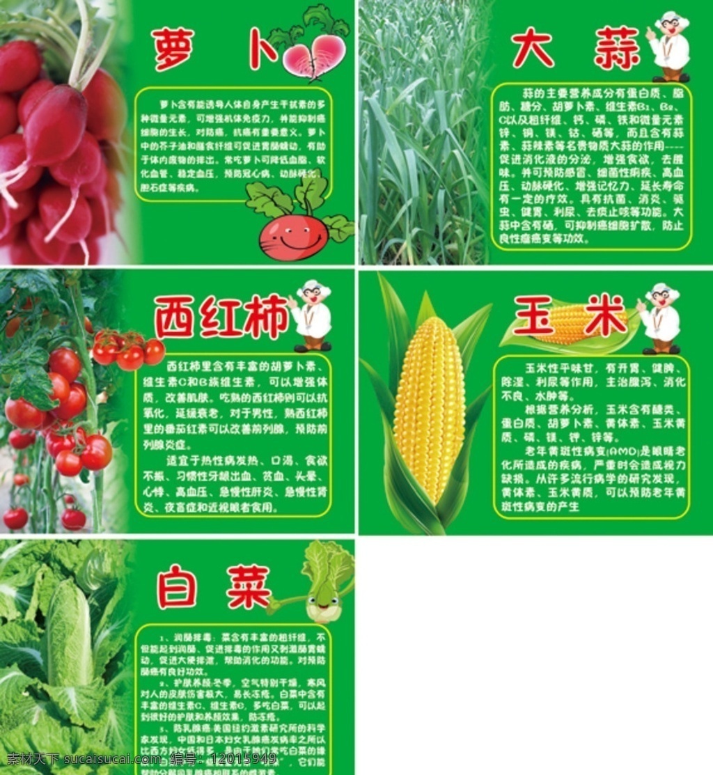 蔬菜种植园 种植园 蔬菜介绍 学校种植园 蔬菜简介 蔬菜别名 画册设计 广告设计模板 源文件