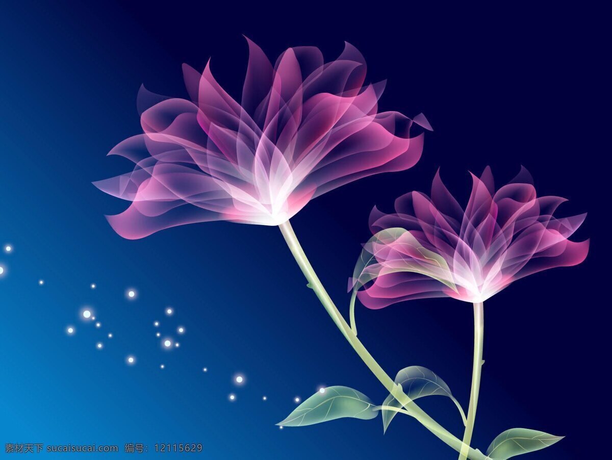 唯美 神秘 壁纸 花朵 深蓝 夜色 背景图片