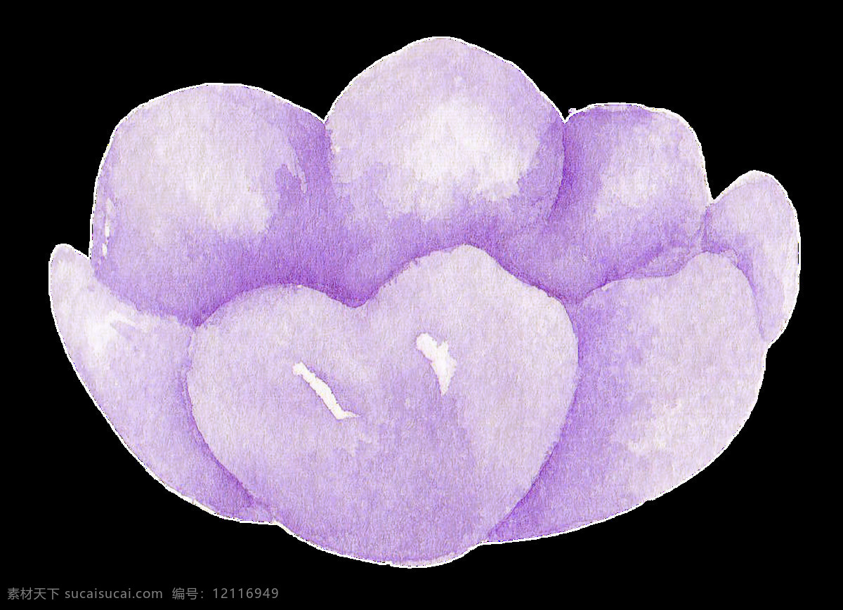 紫色 水彩 花卉 透明 装饰 海报设计装饰 卡通 免扣 设计素材 淘宝素材 透明素材 装饰图案