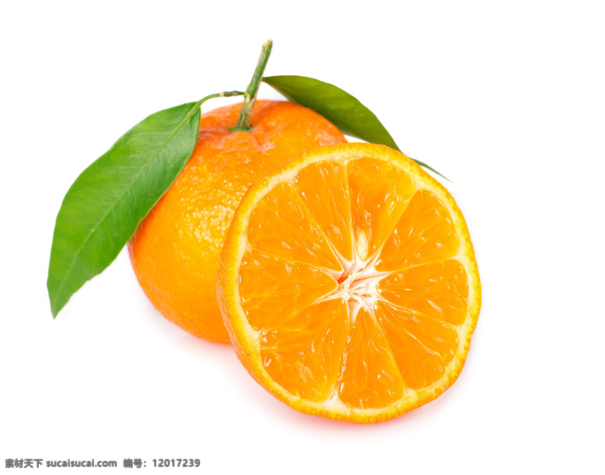 桔子 柑橘 蜜桔 甜美 多汁 美味 生物世界 水果