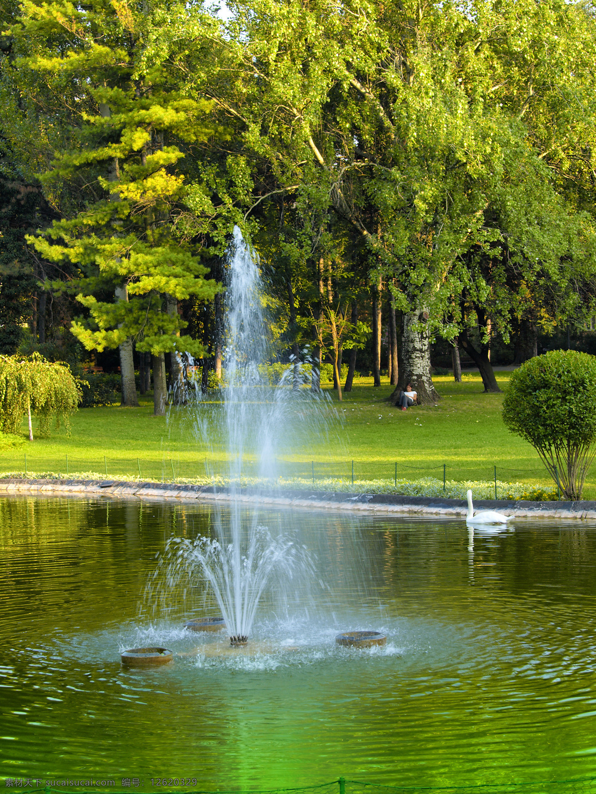 公园 喷泉 公园喷泉 园林 花丛 大树 树丛 台阶 生态公园 休闲旅游 山水风景 自然景观 建筑设计 环境家居